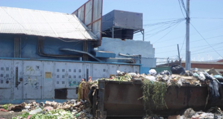 Al sector Arismendi se lo come la basura 1 3 d